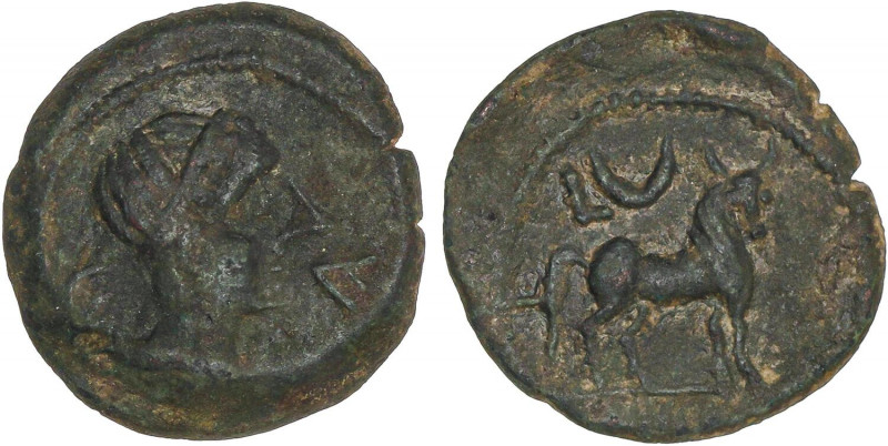 CELTIBERIAN COINS
Semis. 180 a.C. CASTULO (CAZLONA. Jaén). Anv.: Cabeza masculi...