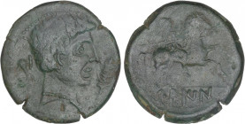 CELTIBERIAN COINS
As. 120-20 a.C. CELÍN (CAUDETE DE LAS FUENTES, Valencia). Anv.: Cabeza masculina a derecha, delante palma, detrás delfín. Rev.: Jin...