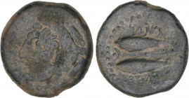 CELTIBERIAN COINS
As. 100-20 a.C. GADES (CÁDIZ). Anv.: Cabeza de Hércules con piel de león a izquierda, detrás clava. Rev.: Dos atunes a izquierda, a...