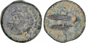 CELTIBERIAN COINS
As. 100-20 a.C. GADES (CÁDIZ). Anv.: Cabeza de Hércules con piel de león a izquierda. Rev.: Dos atunes a izquierda, arriba y abajo ...