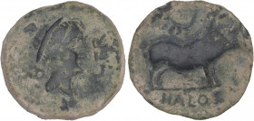 CELTIBERIAN COINS
As. 50 a.C. HALOS (OSUNA, Sevilla). Anv.: Cabeza de Mercurio a derecha, detrás caduceo, delante VAL. TER. Rev.: Jabalí a derecha, e...