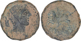 CELTIBERIAN COINS
As. 120-20 a.C. ICALCUNSCEN (Zona sudeste de la península). Anv.: Cabeza masculina a derecha, detrás timón. Rev.: Jinete con lanza ...