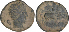 CELTIBERIAN COINS
As. 120-20 a.C. ILDURO (MATARÓ, Barcelona). Anv.: Cabeza masculina con diadema a derecha, detrás oreja. Rev.: Jinete con lanza y cl...
