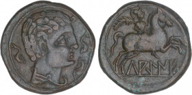 CELTIBERIAN COINS
As. 120-20 a.C. LAGINE (Zona de Aragón). Anv.: Cabeza masculina a derecha con adornos en el cuello, rodeada por tres delfines. Rev....