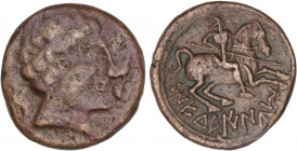 CELTIBERIAN COINS
As. 120-20 a:C. MEDUAINUM (Zona norte del Ebro). Anv.: Cabeza masculina a derecha entre dos delfines hacia abajo. Rev.: Jinete con ...