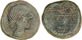 CELTIBERIAN COINS
As. 220-20 a.C. OBULCO (PORCUNA, Jaen). Anv.: Cabeza femenina a derecha, delante (OBVLCO). Rev.: Arado, debajo espiga, entre ambos ...