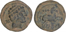 CELTIBERIAN COINS
Cuadrante. 180-20 a.C. BOLSCAN (HUESCA). Anv.: Cabeza masculina a derecha, detrás letra ibérica Bo. Rev.: Caballo a derecha, encima...