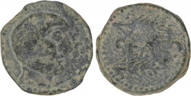 CELTIBERIAN COINS
As. 120-50 a.C. SEARO (UTRERA, Sevilla). Anv.: Cabeza masculina a derecha, delante S. Rev.: Dos espigas a derecha, entre ambas SEAR...