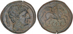 CELTIBERIAN COINS
As. 120-20 a.C. CESE (TARRAGONA). Anv.: Cabeza masculina a derecha, detrás clava. Rev.: Jinete con palma a derecha, debajo leyenda ...