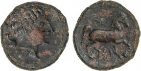 CELTIBERIAN COINS
Semis. 120-20 a.C. CESE (TARRAGONA). Anv.: Cabeza masculina a derecha, detrás proa de nave. Rev.: Caballo a derecha, debajo leyenda...