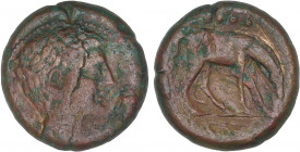 CELTIBERIAN COINS
Triente. 220-200 a.C. CESE (TARRAGONA). Anv.: Cabeza masculina a derecha, detrás caduceo. Rev.: Caballo pastando a derecha, encima ...