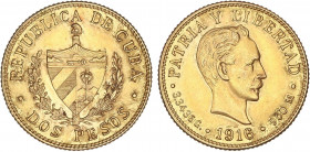 WORLD COINS: CUBA
2 Pesos. 1916. 3,33 grs. AU. José Martí. Brillo original. Fr- 6; KM- 17. SC-.
