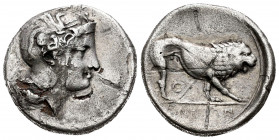 Lucania. Velia. Didrachm. 340-334 BC. (Williams-251/3). (HN Italy-1283). Anv.: Head of Athena right, wearing crested Attic helmet decorated with griff...
