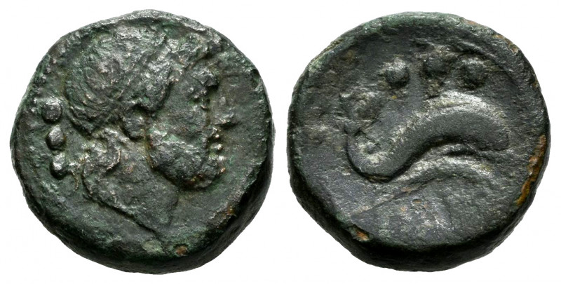 Lucania. Paestum. Cuadrante. 218-201 BC. (Craw-6.2). (HN Italy-1197). Anv.: Jupi...