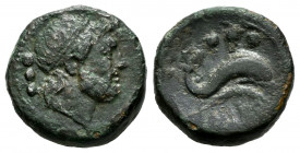 Lucania. Paestum. Cuadrante. 218-201 BC. (Craw-6.2). (HN Italy-1197). Anv.: Jupiter's head to the right, behind three pellets. Rev.: Dolphin to the ri...