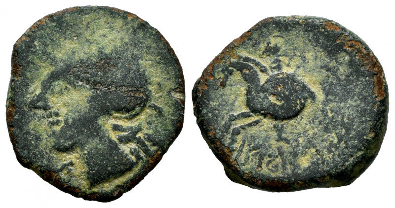 Carisa. Half unit. 50 BC. (Abh-451). Anv.: Helmeted male head left. Rev.: Horsem...