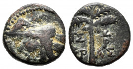 Phoenicia. Tyre. AE 15. 98-117 AD. Times of Trajano. Ae. 3,40 g. Almost VF. Est...30,00. 


 SPANISH DESCRIPTION: Phoenicia. Tiro. AE 15. 98-117 d....