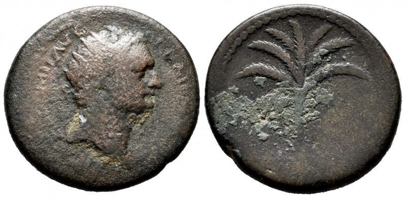 Domitian. AE 28. 81-96 AD. Judaea. (RPC-II, 2307). Ae. 14,64 g. F/Choice F. Est....