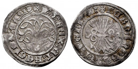 Catholic Kings (1474-1504). 1/2 real. Burgos. (Cal-182). Ag. 1,57 g. Scallop at the end of the legend on obverse. Scratch. Almost VF. Est...35,00. 
...