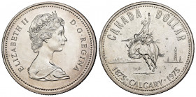 Canada. Elizabeth II. 1 dollar. 1975. Calgary. (Km-97). Ag. 22,77 g. UNC. Est...20,00. 


 SPANISH DESCRIPTION: Canadá. Elizabeth II. 1 dollar. 197...
