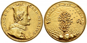 Italy. Medal. Century XVII-XVIII. (Börner-1283). Ae. 29,84 g. Cardinal Francesco Nerli, Cardinal Secretary of State (1673-1676). Gilt bronze 42mm. Alm...