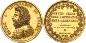 Pierre Ier (1822-1831). Médaille, inauguration de l’Académie Impériale des Beaux-Arts de Rio de Janeiro par Zéphyrin Ferrez 1826, Rio de Janeiro.
Av....