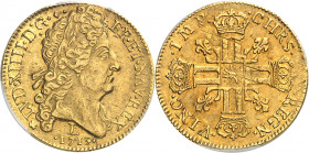 Louis XIV (1643-1715). Double louis d’or au soleil 1713, L, Bayonne.
Av. LVD. XIIII. D. G. FR. ET. NAV. REX. Tête du Roi à droite, avec une grande pe...