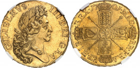 Guillaume III (1694-1702). 5 guinées, 2e buste 1701, Londres.
Av. GVLIELMVS. III. DEI. GRA. Buste lauré à droite. Rv. MAG. BR. FRA. ET. HIB. REX (dat...