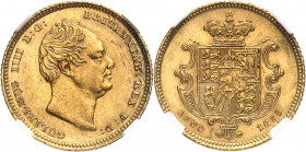 Guillaume IV (1830-1837). 1/2 souverain 1835, Londres.
Av. GULIELMUS IIII D: G: BRITANNIAE: REX: F: D: Tête nue à droite. Rv. ANNO (date). Écu couron...