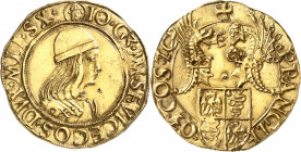 Milan (duché de), Giovanni Galeazzo Maria Sforza (1476-1494). Double ducat ND (1476-1477), Milan.
Av. (tête mitrée de Saint Ambroise) IO GZ. M. SF. V...