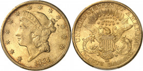 République fédérale des États-Unis d’Amérique (1776-à nos jours). 20 dollars Liberty 1884, CC, Carson City.
Av. ************* Tête de la Liberté à ga...