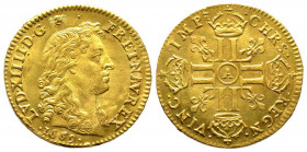 Louis XIV 1643-1715
Louis d'or à la tête nue, Paris, 1669, AU 6.75 g.
Ref : G. 247, Fr. 423
Conseervation : Fines rayures à l'avers sinon FDC