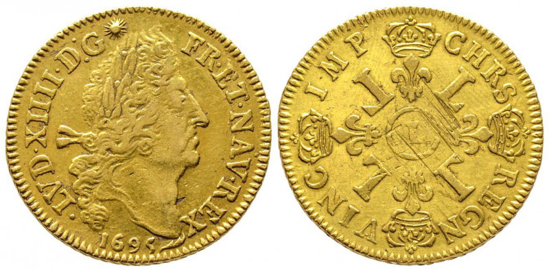 Louis XIV 1643-1715
Double Louis d'or aux 4 L, fn, Bayonne, 1695 L, AU 13.43 g.
...