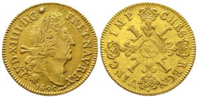 Louis XIV 1643-1715
Double Louis d'or aux 4 L, fn, Bayonne, 1695 L, AU 13.43 g.
Ref : G. 260 (R4), Fr. 432
Conservation : TTB. Rarissime