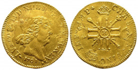Louis XIV 1643-1715
Double Louis d'or aux 8 L et aux insignes, rf, La Rochelle, 1701 H, AU 13.43 g.
Ref : G. 261 (R3), Fr. 435
Conservation : fines ra...