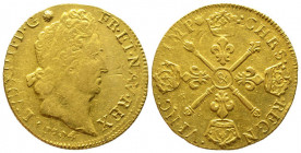 Louis XIV 1643-1715
Double Louis d'or aux insignes, rf, Aix, 1704 &, AU 13.37 g.
Ref : G. 262 (R3), Fr. 438
Conservation : TB. Très Rare