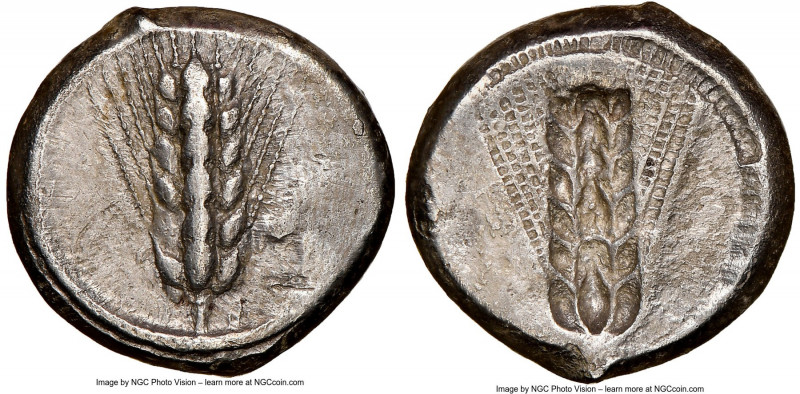 LUCANIA. Metapontum. Ca. 470-440 BC. AR stater (19mm, 12h). NGC Choice VF, brush...