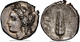 LUCANIA. Metapontum. Ca. 330-280 BC. AR stater (21mm, 7.66 gm, 9h). NGC AU 5/5 -2/5, flan flaw. Head of Demeter left, wreathed with grain / META, barl...