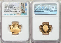 Elizabeth II gold Proof "Tower of London" 5 Pounds 2019 PR70 Ultra Cameo NGC, KM-Unl. One of First 25 Struck. Tower of London - Yeoman Warders. 

HI...