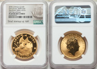 Elizabeth II gold Proof "Mayflower 400th Anniversary" 100 Pounds (1 oz) 2020 PR69 Ultra Cameo NGC, KM-Unl. Mintage: 500. First day of issue. Mayflower...