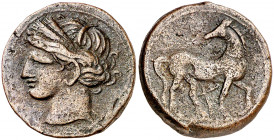 (s. III-II a.C.). Zeugitana. Cartago. AE 22. (S. 6518). 7,80 g. MBC.
