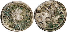 (275-276 d.C.). Tácito. Antoniniano. (Spink 11784) (Co. 60) (RIC. 145). Adherencias. 3,70 g. MBC+.