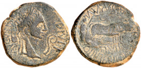 Octavio Augusto. Caesaraugusta (Zaragoza). As. (FAB. 323) (ACIP. 3046a). 12,59 g. MBC-.