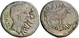 Octavio Augusto. Calagurris (Calahorra). As. (FAB. 412) (ACIP. 3117a). Campos repasados. 10,94 g. (MBC).