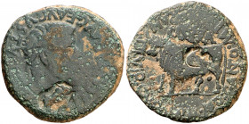 Tiberio Clunia (Coruña del Conde). As. (FAB. 836) (ACIP. 3172). Contramarcas: jabalí en anverso (ACIP. pág. 782, nº 103) y cabeza de jabalí en reverso...