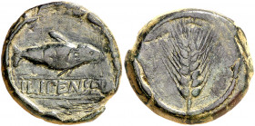 Ilipense (Alcalá del Río). Semis. (FAB. 1534) (ACIP. 2336). 16,80 g. MBC.