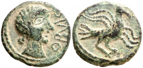 Obulco (Porcuna). Semis. (FAB. 1843) (ACIP. 2247). Pátina verde. 4,16 g. EBC-.