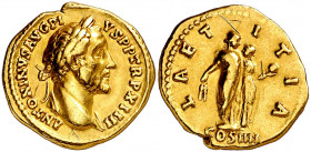 (150-151 d.C.). Antonino pío. Áureo. (Spink 4008 var) (Co. 476 var) (RIC. 199c var) (Calicó 1559a). Pequeñas rayitas. 7,21 g. MBC+.
