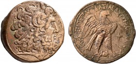 PTOLEMAIC KINGS OF EGYPT. Ptolemy VIII Euergetes II (Physcon), second reign, 145-116 BC. Drachm (Bronze, 42 mm, 67.27 g, 12 h), Kyrene. Diademed head ...