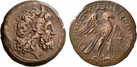 PTOLEMAIC KINGS OF EGYPT. Ptolemy VIII Euergetes II (Physcon), second reign, 145-116 BC. Hemidrachm (Bronze, 43 mm, 38.70 g, 12 h), Kyrene. Diademed h...
